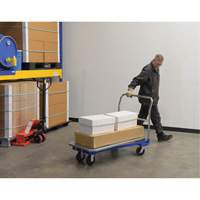 Platform Cart, 48" L x 24" W, 1500 lbs. Capacity, Mold-on Rubber Casters TGS INDUSTRIEL