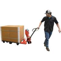 Transpalette, 48" lo x 27,5" la, Capacit&eacute; de 5000 lb TGS INDUSTRIEL