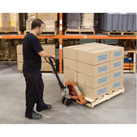 Transpalette manuel robuste, Acier, 48" lo x 20,5" la, Capacit&eacute; 5500 lb TGS INDUSTRIEL