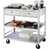 Supports en acier inoxydable pour &eacute;quipement, 300 lb Capacit&eacute;, Acier inoxydable, 20"/20-1/8" x la, 35" x ha, 37"/36-3/8" p, D&eacute;mont&eacute;, 2 tirroirs TGS INDUSTRIEL