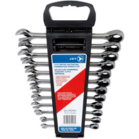 12-PC Long Pattern Metric Ratcheting Combination Wrench Set, Plain Handle TGS INDUSTRIEL