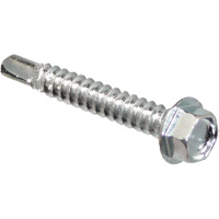 Self Drill Hex Washer, 1" x 10" L, Zinc Plated TGS INDUSTRIEL