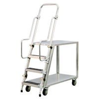 Chariot de pr&eacute;paration en aluminium avec &eacute;chelle, Aluminium, 22" la x 51-1/2" p, 2 tablettes, Capacit&eacute; 800 lb TGS INDUSTRIEL