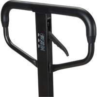 Quick-Lift Manual Pallet Truck, Steel, 48" L x 20.5" W, 5500 lbs. Capacity TGS INDUSTRIEL