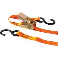 Ratchet Strap, S-Hook, 12' W x 1" L, 2200 lbs. (998 kg) Working Load Limit TGS INDUSTRIEL