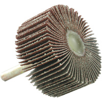 Mounted Flapwheel, 60 Grit, 2" x 1" x 1/4" TGS INDUSTRIEL