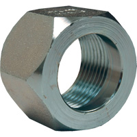 &eacute;crou hexagonal de minage Dixon, 1", Zingu&eacute;, Filetage NPT TGS INDUSTRIEL