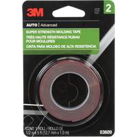 Super Strength Molding Tape, 1.52 m (5') L x 12.7 mm (1/2") W, 46 mils, Acrylic TGS INDUSTRIEL