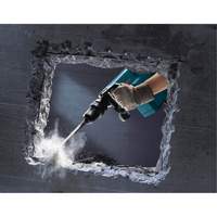 Demolition Hammer TGS INDUSTRIEL