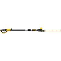 Ensemble taille-haie sur perche MAX*, 22", 20 V, &agrave; pile TGS INDUSTRIEL