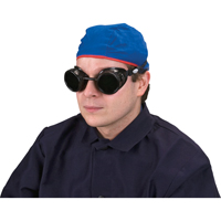 Lunettes &agrave; coque, Lentille 5,0, Anti-&eacute;gratignures, Ventilation Ferm&eacute; TGS INDUSTRIEL