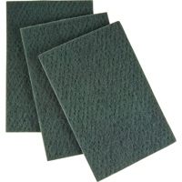 Scouring Hand Pad, 6" x 9", Medium Grit TGS INDUSTRIEL