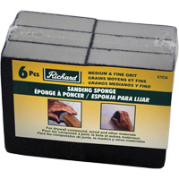 &eacute;ponge abrasive TGS INDUSTRIEL