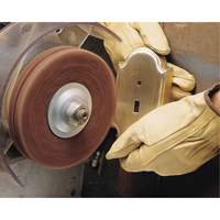 Scotch-Brite High Strength Discs (Aluminum Oxide), 6" Dia., Very Fine Grit, Aluminum Oxide TGS INDUSTRIEL