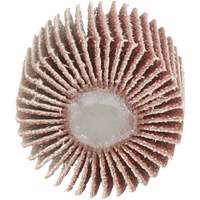 Flap Disc 747D, Aluminum Oxide/Ceramic, 80 Grit, 1" x 1" x 1/4" TGS INDUSTRIEL