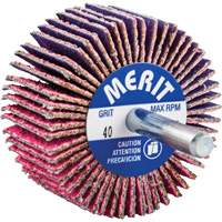 Mini-meule &agrave; lamelles mont&eacute;e sur tige, C&eacute;ramique d'alumine, Grain 40, 2" x 1" x 1/4" TGS INDUSTRIEL