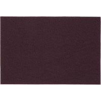 Tampons manuels Bear-Tex, Oxyde d'aluminium, 6" x 9", Grain Tr&egrave;s fin TGS INDUSTRIEL