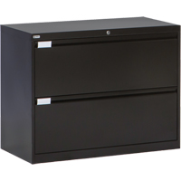Classeur lat&eacute;ral, Acier, 2 tiroirs, 36" la x 18" p x 27-7/8" h, Noir TGS INDUSTRIEL