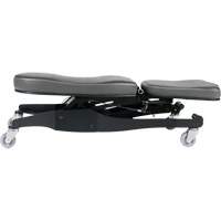 Flex III Ergonomic Chair TGS INDUSTRIEL