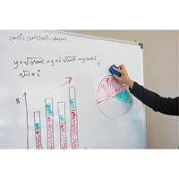 Whiteboard Eraser TGS INDUSTRIEL