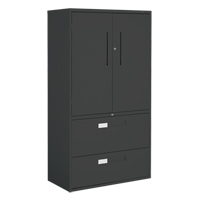 Multi-Stor Cabinet, Steel, 3 Shelves, 65-1/4" H x 36" W x 18" D, Black TGS INDUSTRIEL