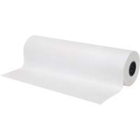 Papier, Papier journal, 18" x 1695', 30 lb, Rouleau TGS INDUSTRIEL
