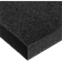 Foam Sheet, Standard, 2" Thick, 108" L x 24" W TGS INDUSTRIEL