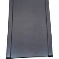 Porte-&eacute;tiquette, Magn&eacute;tique, 600" lo x 2" la TGS INDUSTRIEL