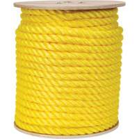 Corde jaune tress&eacute;e, Polypropyl&egrave;ne, 300' TGS INDUSTRIEL