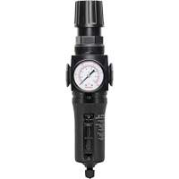 Manual Drain Filter/Regulator with Metal Bowl Modulair 300, 1/4" NPT, 250 PSI, 5.1 fl. oz. Capacity TGS INDUSTRIEL