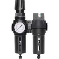 Filter/Regulator & Coalescing Filter Modulair 300 with Standard Bowl & Manual Drain, 3/8" NPTF, 150 PSI, 5.12 fl. oz. Capacity TGS INDUSTRIEL