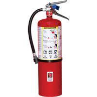 Extincteur d'incendie, ABC, Capacit&eacute; 10 lb TGS INDUSTRIEL