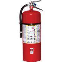 Extincteur d'incendie, ABC, Capacit&eacute; 20 lb TGS INDUSTRIEL