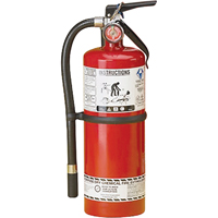 Extincteur d'incendie, ABC, Capacit&eacute; 5 lb TGS INDUSTRIEL
