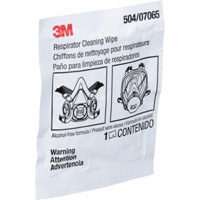 Respirator Cleaning Wipes, Wipes TGS INDUSTRIEL