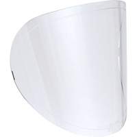 Replacement Lenses TGS INDUSTRIEL