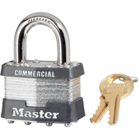 Cadenas lamin&eacute;, Argent, Cl&eacute;s identiques, Acier lamin&eacute;, Largeur de 1-3/4" TGS INDUSTRIEL
