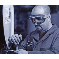 Uvex&reg; Flex Seal Safety Goggles, 3.0 Lens, Anti-Fog, Indirect Vent TGS INDUSTRIEL