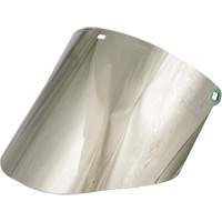 &eacute;cran facial moul&eacute;, Polycarbonate, Teinte Vert TGS INDUSTRIEL