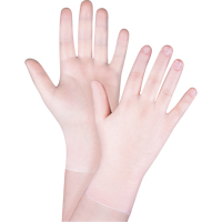 Disposable Gloves, Small, Vinyl, 4.5-mil, Powder-Free, Clear, Class 2 TGS INDUSTRIEL