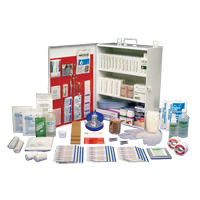 Workplace Deluxe First Aid Kits, Class 1 Medical Device, Metal Box TGS INDUSTRIEL