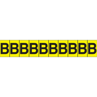 Rep&egrave;res adh&eacute;sifs &agrave; lettres individuelles, B, 1" h, Noir sur jaune TGS INDUSTRIEL