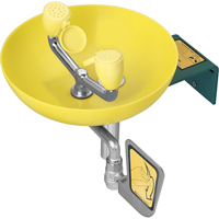 Eye/Face Wash Station, Wall-Mount Installation, Plastic Bowl TGS INDUSTRIEL