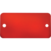 &eacute;tiquettes vierges, Aluminium, 3" la x 1" h TGS INDUSTRIEL