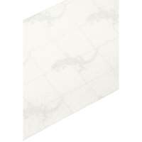 Ruban antid&eacute;rapant de premi&egrave;re qualit&eacute;, 4" x 60', Transparent TGS INDUSTRIEL