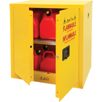 Flammable Storage Cabinet, 22 gal., 2 Door, 35" W x 35" H x 22" D TGS INDUSTRIEL