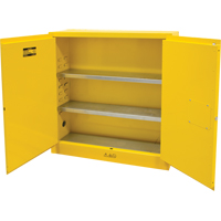 Armoire pour produits inflammables, 24 gal., 2 Porte(s), 43" La x 44" h x 12" p TGS INDUSTRIEL