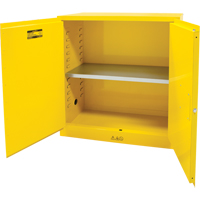 Armoire pour produits inflammables, 30 gal., 2 Porte(s), 43" La x 44" h x 18" p TGS INDUSTRIEL