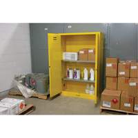 Armoire pour produits inflammables, 45 gal., 2 Porte(s), 43" La x 65" h x 18" p TGS INDUSTRIEL