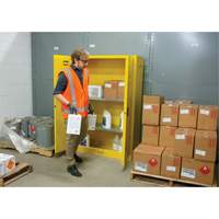 Armoire pour produits inflammables, 45 gal., 2 Porte(s), 43" La x 65" h x 18" p TGS INDUSTRIEL